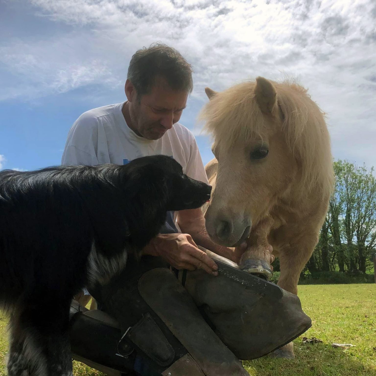 About – Ash Rescue Centre